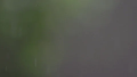 Rain Stock Footage 79731547
