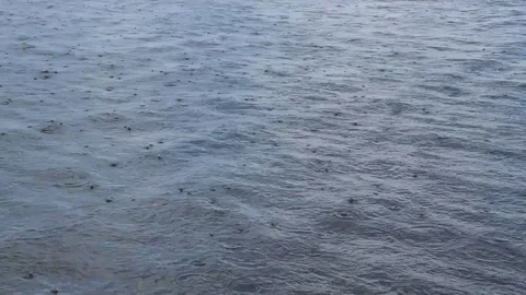 The rain Stock Footage 81089006