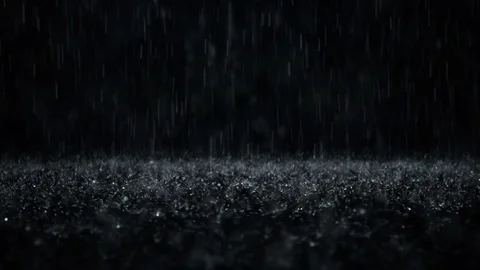 Rain Stock Footage 84128512