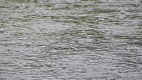 Rain Stock Footage 89031175