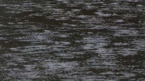Rain Stock Footage 91117207
