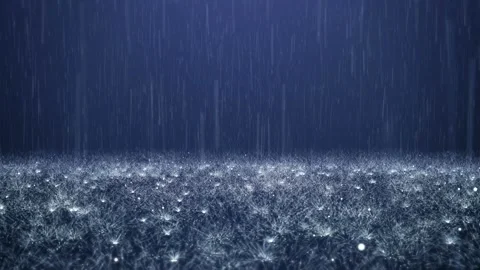 Rain Stock Footage 91473891