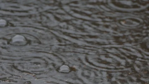 Rain Stock Footage 92800327