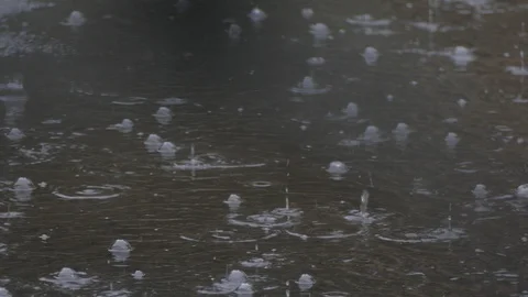 Rain Stock Footage 92800979