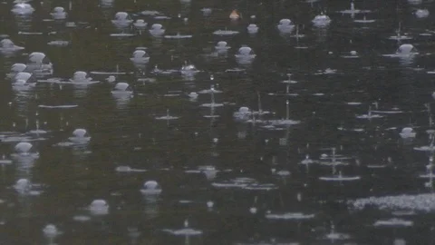 Rain Stock Footage 92801408