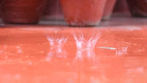 Rain. Stock Footage 94266518