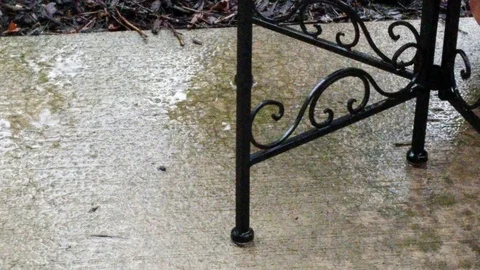 Rain Stock Footage 95618584