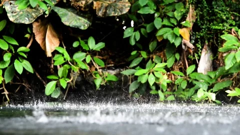 Rain Video stock 103688809