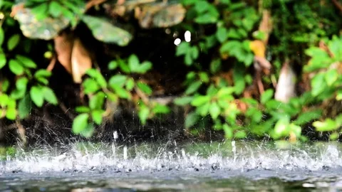 Rain Stockbeeldmateriaal 103689064