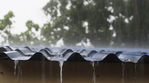 Rain Stock Footage 109024997