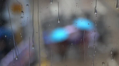 Rain 動画素材 109071383