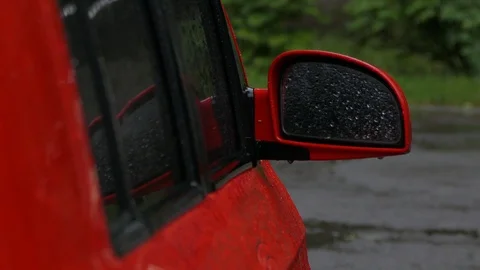 Rain. Stock Footage 109117544