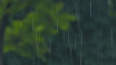 Rain. Stock Footage 109117942
