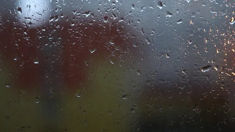 Rain Stock Footage 112621259