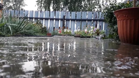 Rain Stock Footage 112802668