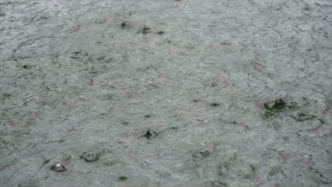 Rain Stock Footage 113774086