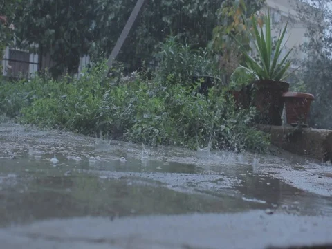 Rain Stock Footage 120563444
