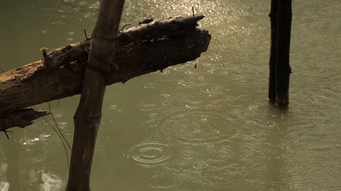 Rain Stock Footage 129432746