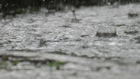 Rain Stock Footage