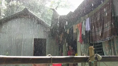 Rain Stock Footage 133745170