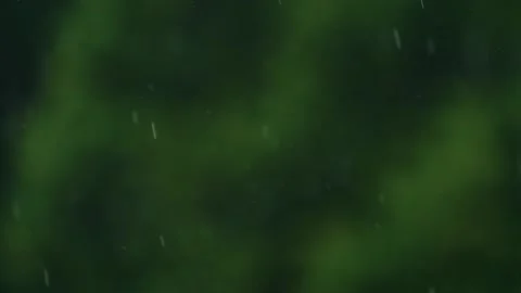 Rain Stock Footage 140233056