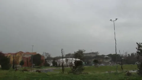 Rain Stock Footage 147970370