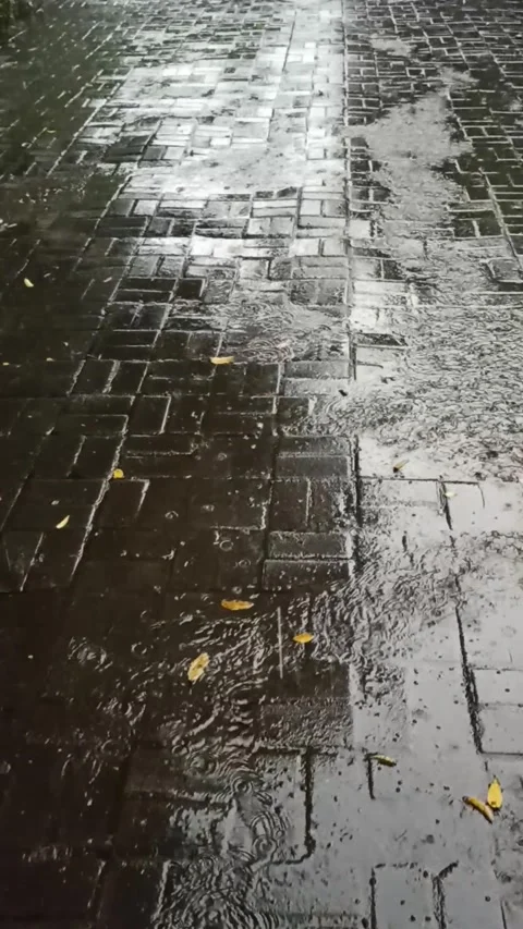 Rain 動画素材 169393707