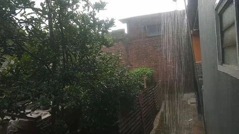 The Rain Stock Footage 172489125