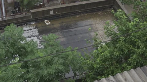 Rain Video stock 188855156