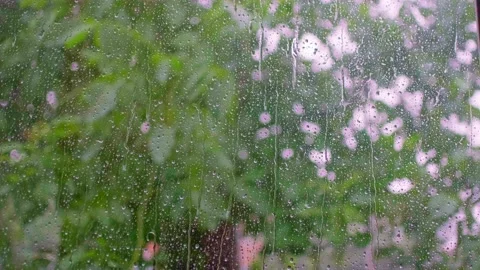 Rain Stock Footage 198015593