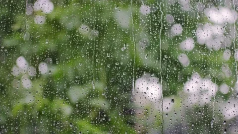 Rain Stock Footage 198015645