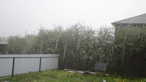 Rain Stock Footage 199561281