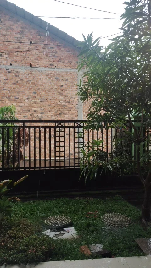 Rain Stock Footage 207089392