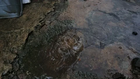 Rain Stock Footage 208653156