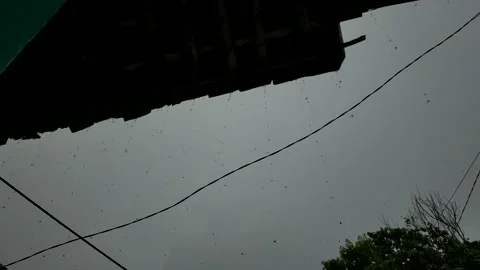 Rain Stock Footage 211786467