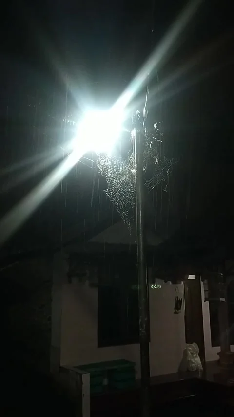 Rain Video stock 218170038