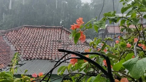 Rain 스톡 동영상 218968172