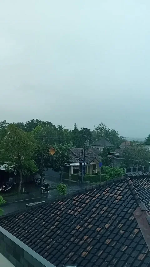 Rain Stock Footage 219304029