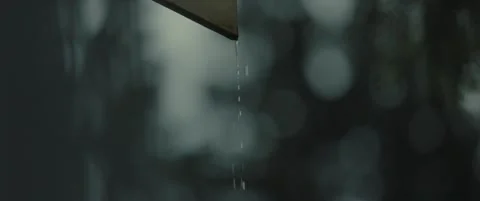 Rain Video stock 219351226