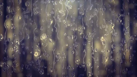 Rain Stock Footage 223596421