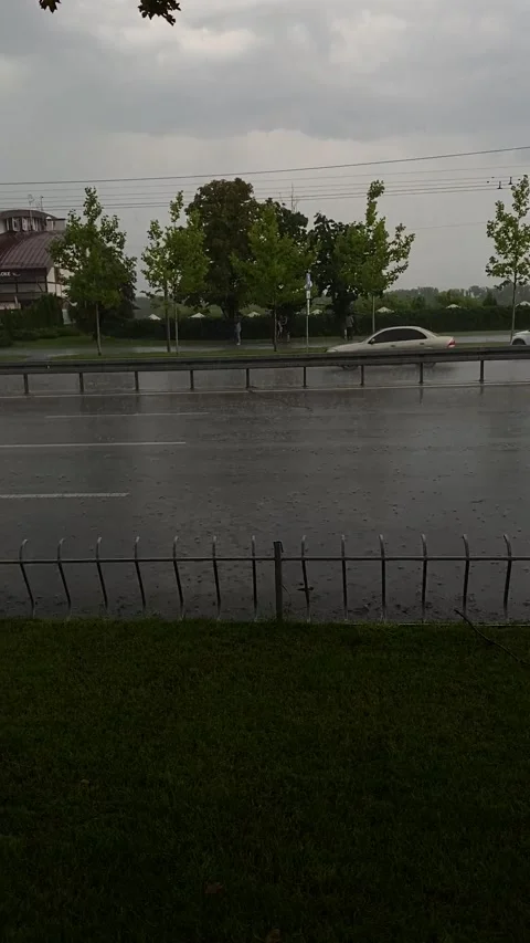 Rain 库存影片 224699292