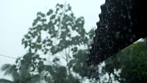 Rain Stock Footage 227703105