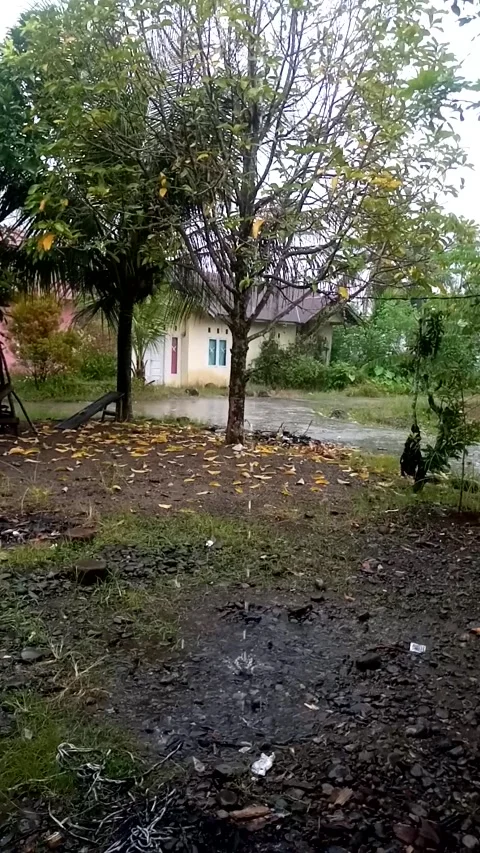 Rain Stock Footage 228667447