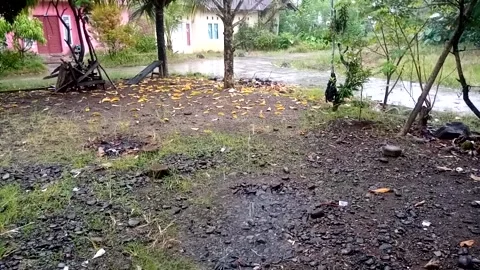 Rain Video stock 228667459