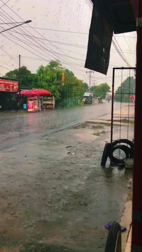 Rain Stockbeeldmateriaal 229914985