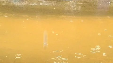 The Rain Stock Footage 230392456