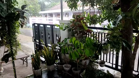 Rain Stock Footage 232475418