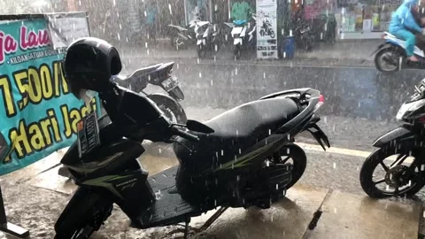 Rain Stock Footage 233397888