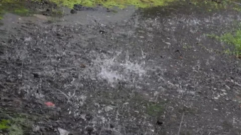 Rain Video stock 237157327