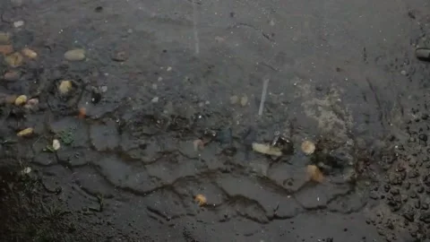 Rain Stock Footage 237921223